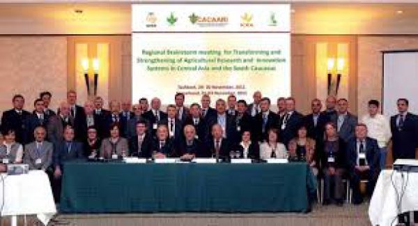 Ekspertlar yig‘ilishi dasturi: Milliy hisobotlar sintezi